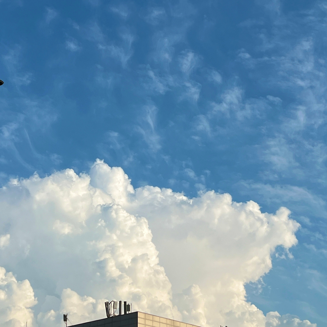 다정이툰 - 요즘하늘 사진들4.jpg