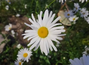 다운로드 (1).jpg