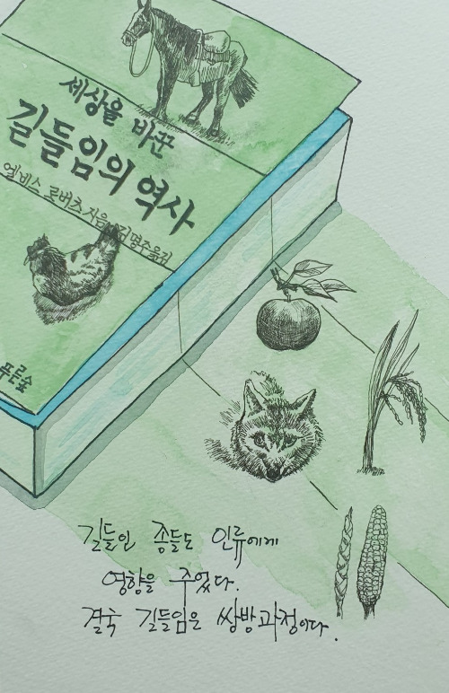 길들임의 역사.jpg