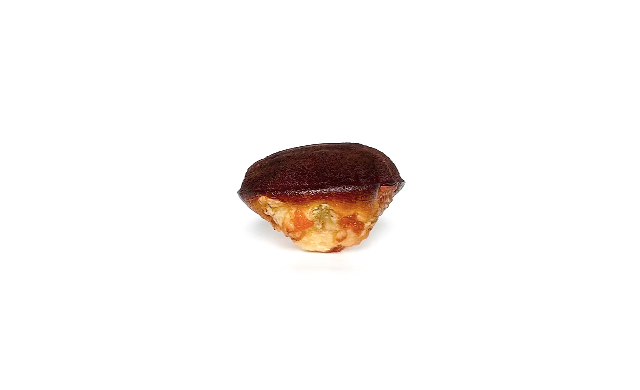 카지노 쿠폰