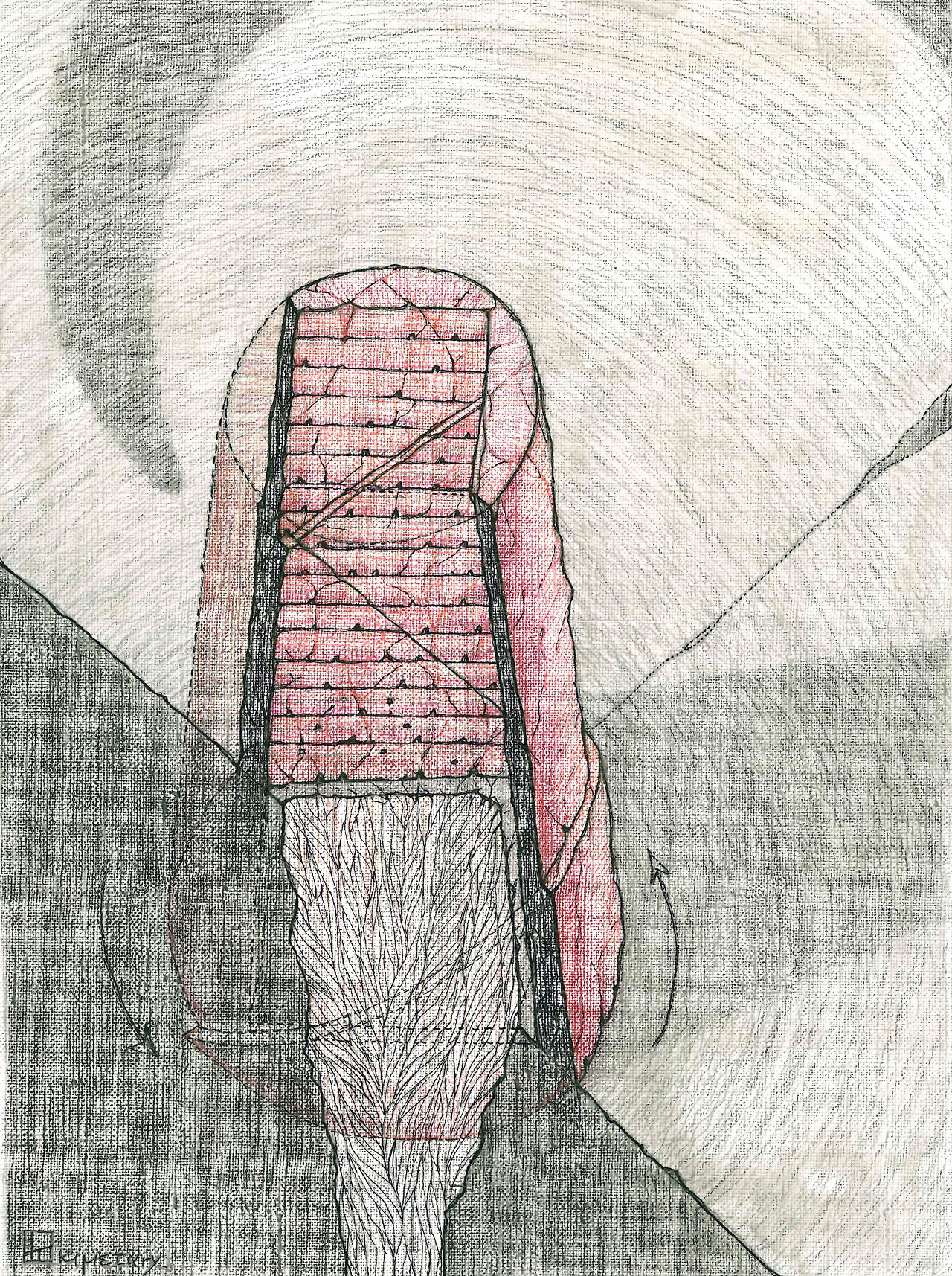 20240402 0000 Babel - La chute des amorvores_Vol.jpg