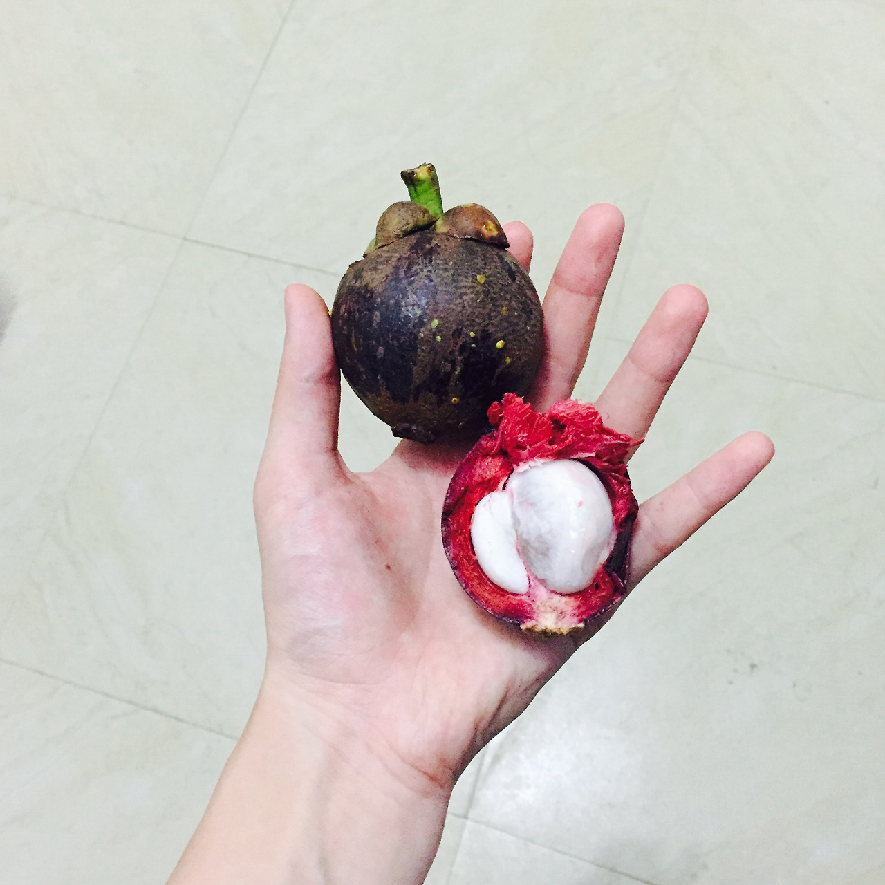 사진 2016. 7. 18. 오후 9 33 22.jpg