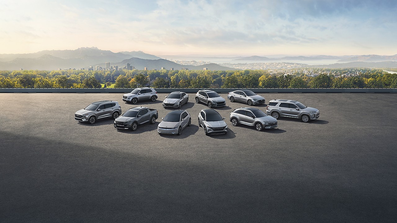 내차 최고 경매 2.jpg