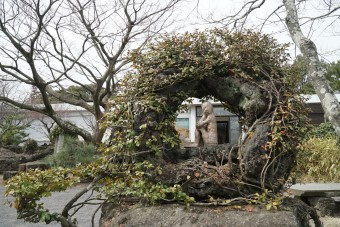 갤러리 마당.jpg