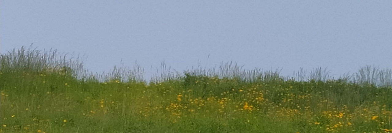 KakaoTalk_20220617_171224806_05 (1).jpg