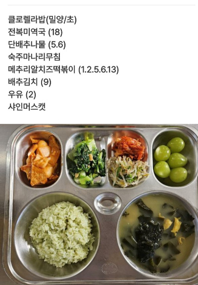 식단2.jpg