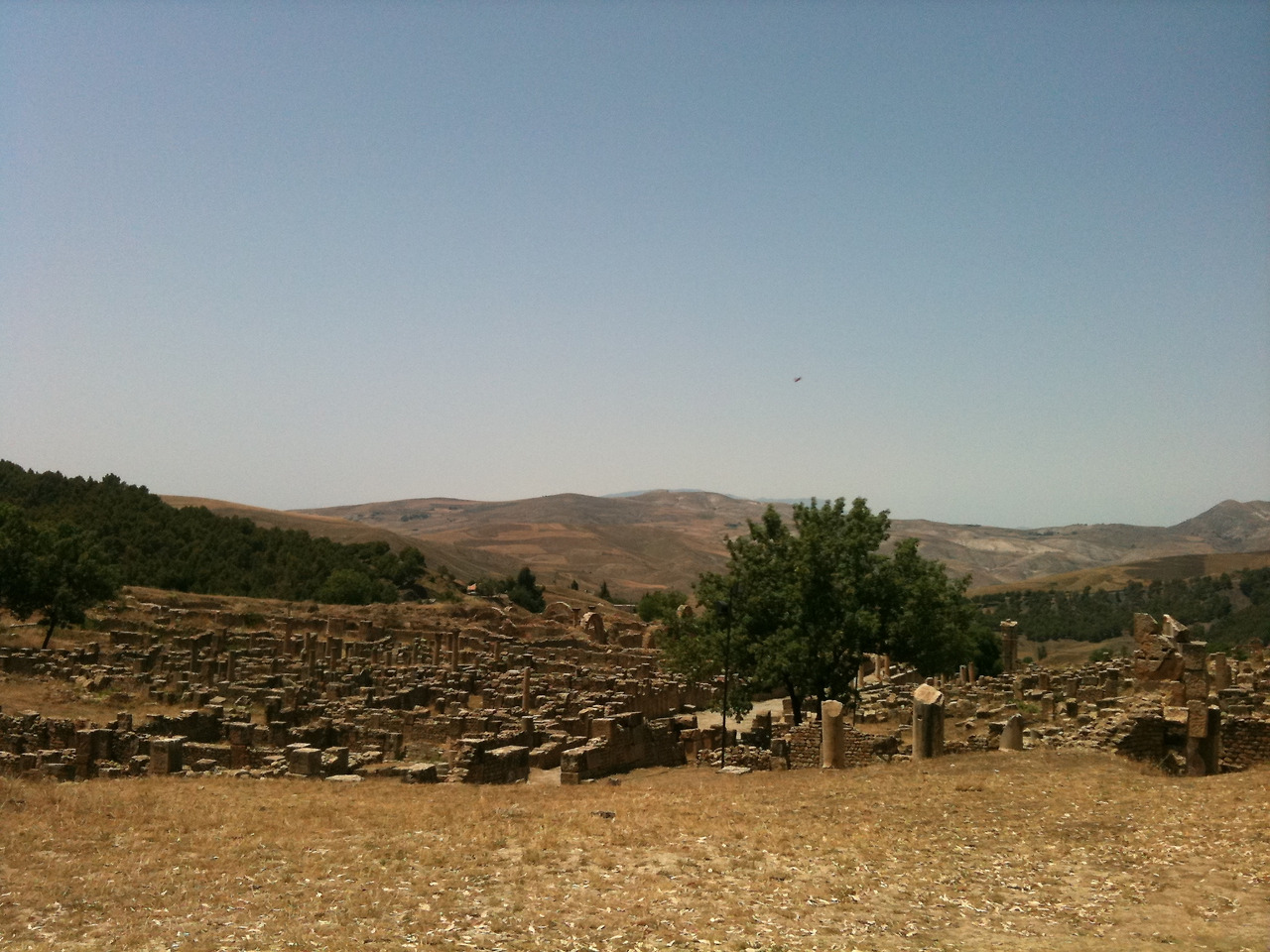 알제리.11.12.23 014.jpg