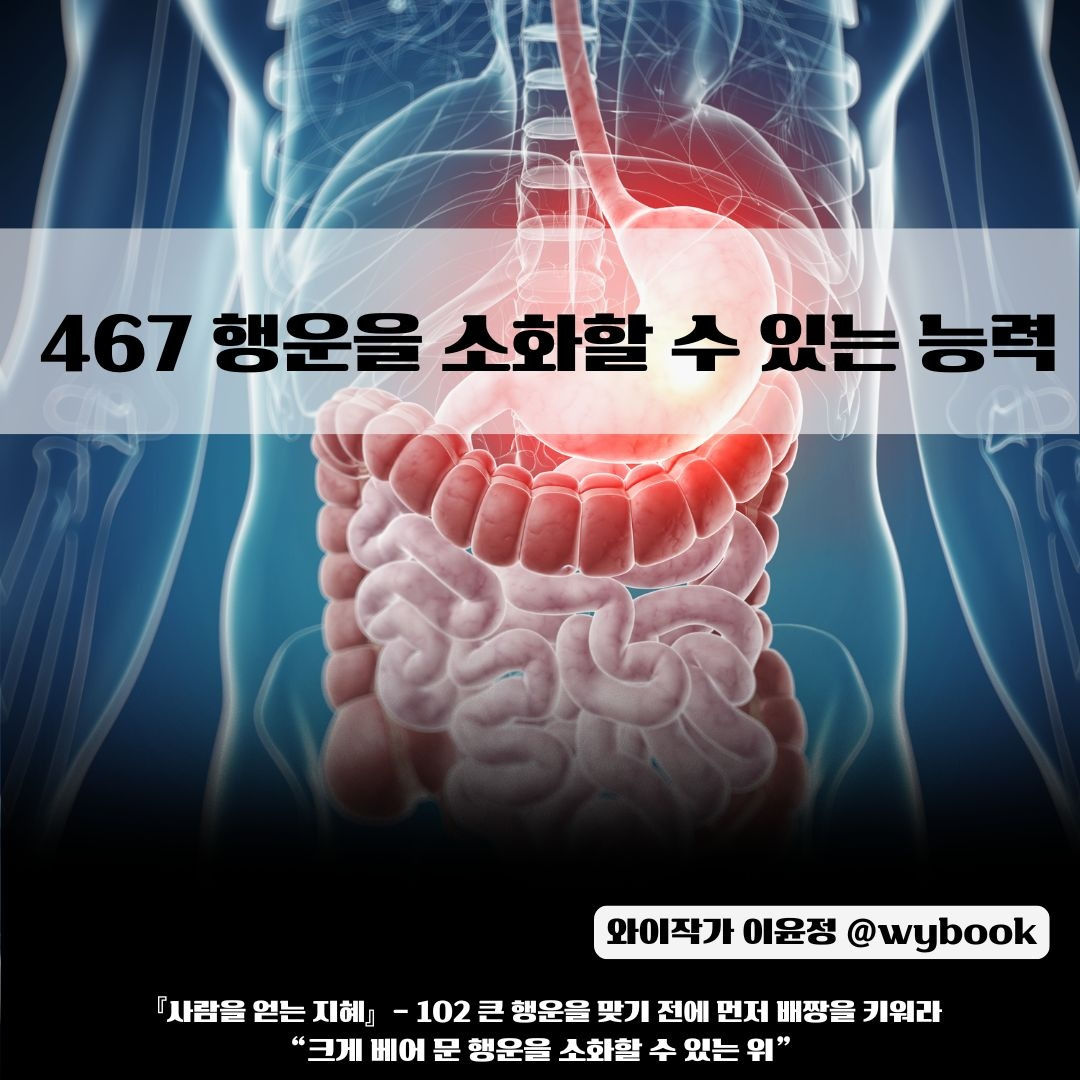 _467 행운을 소화할 수 있는 능력.jpg