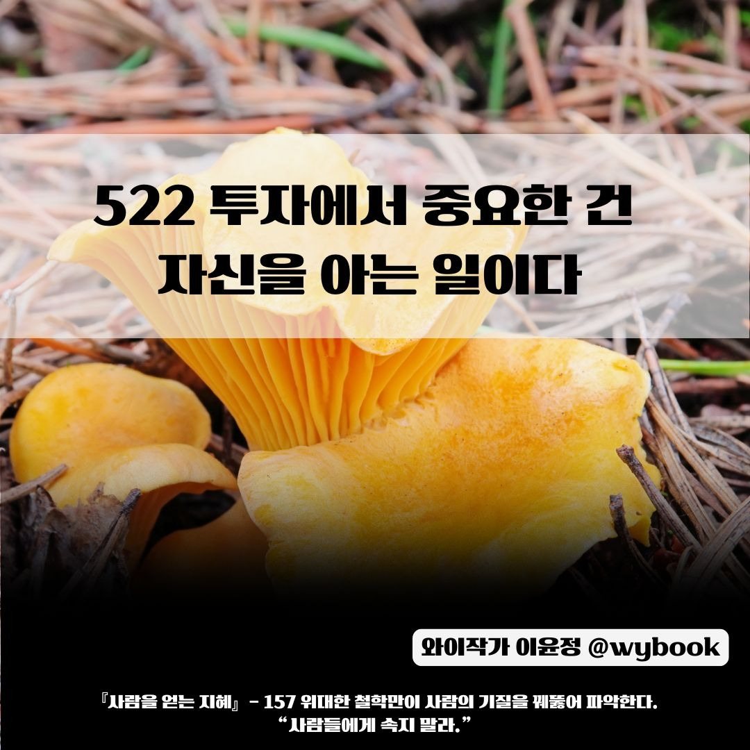 522 투자에서 중요한 건  자신을 아는 일이다.jpg