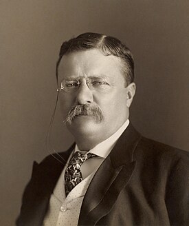 275px-Theodore_Roosevelt_by_the_Pach_Bros.jpg