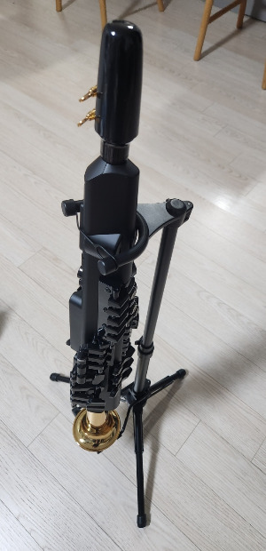 색소폰 240615.jpg