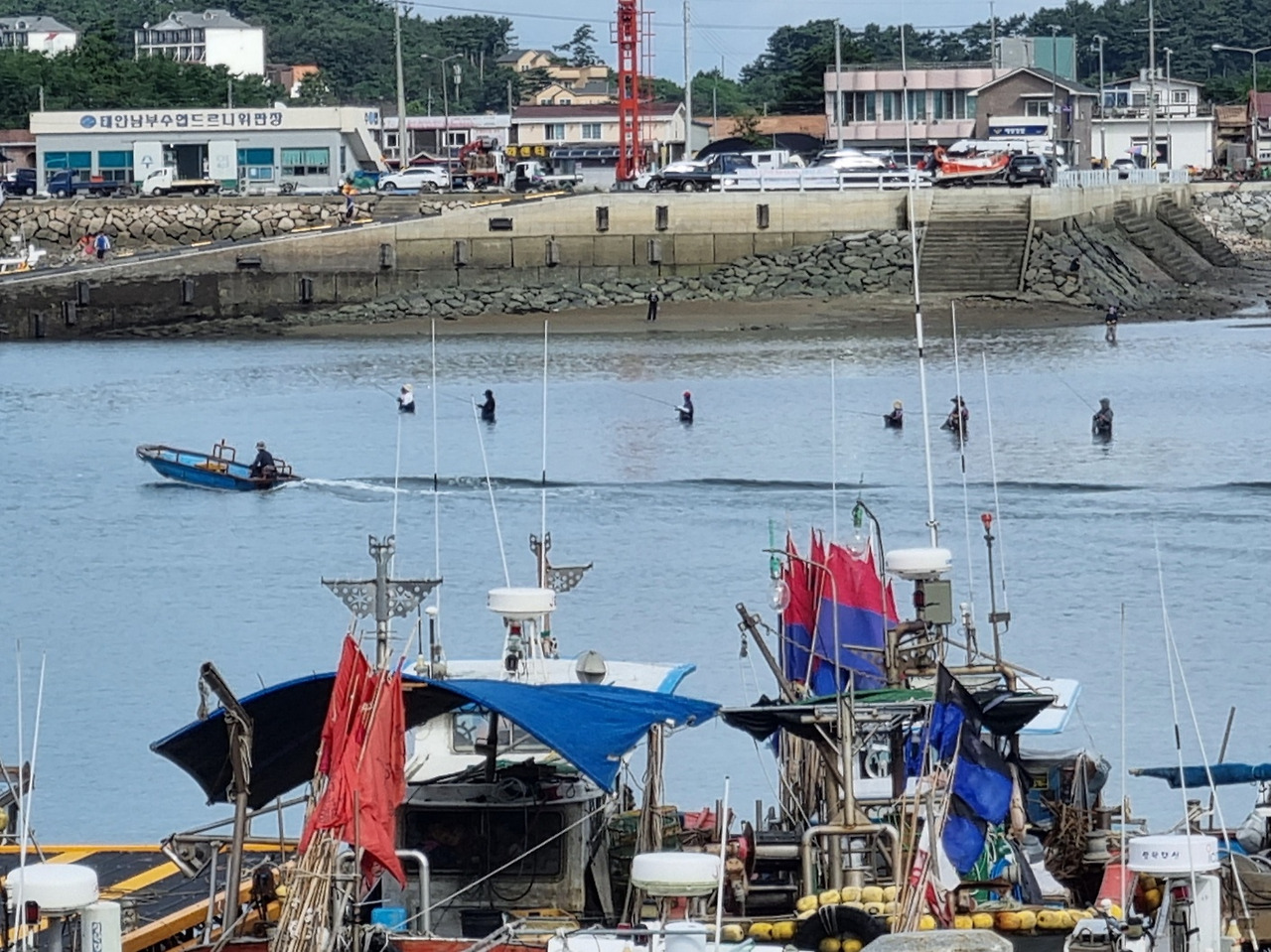 아침일찍 해루질 하는모습.jpg