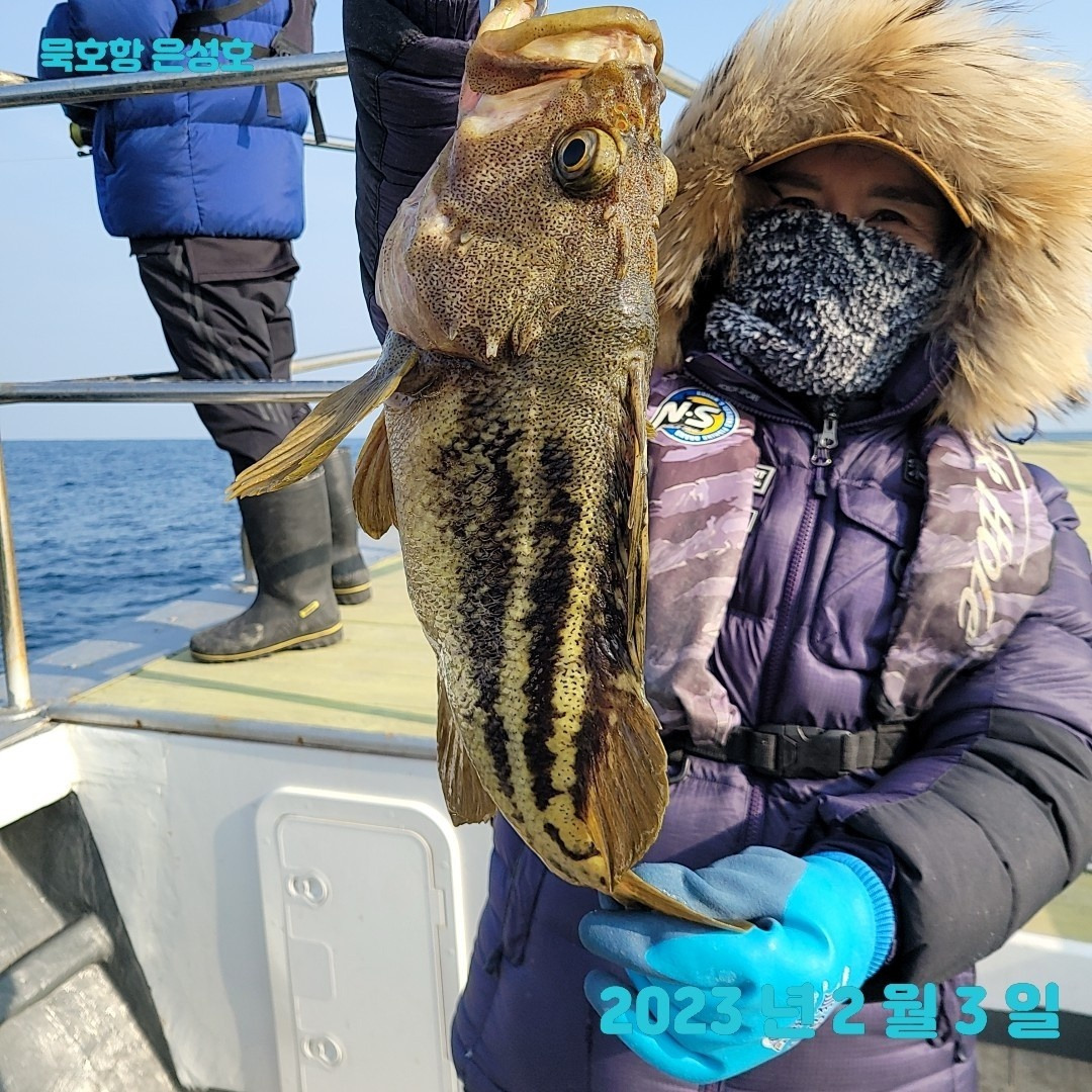 은성호 세줄볼락.jpg