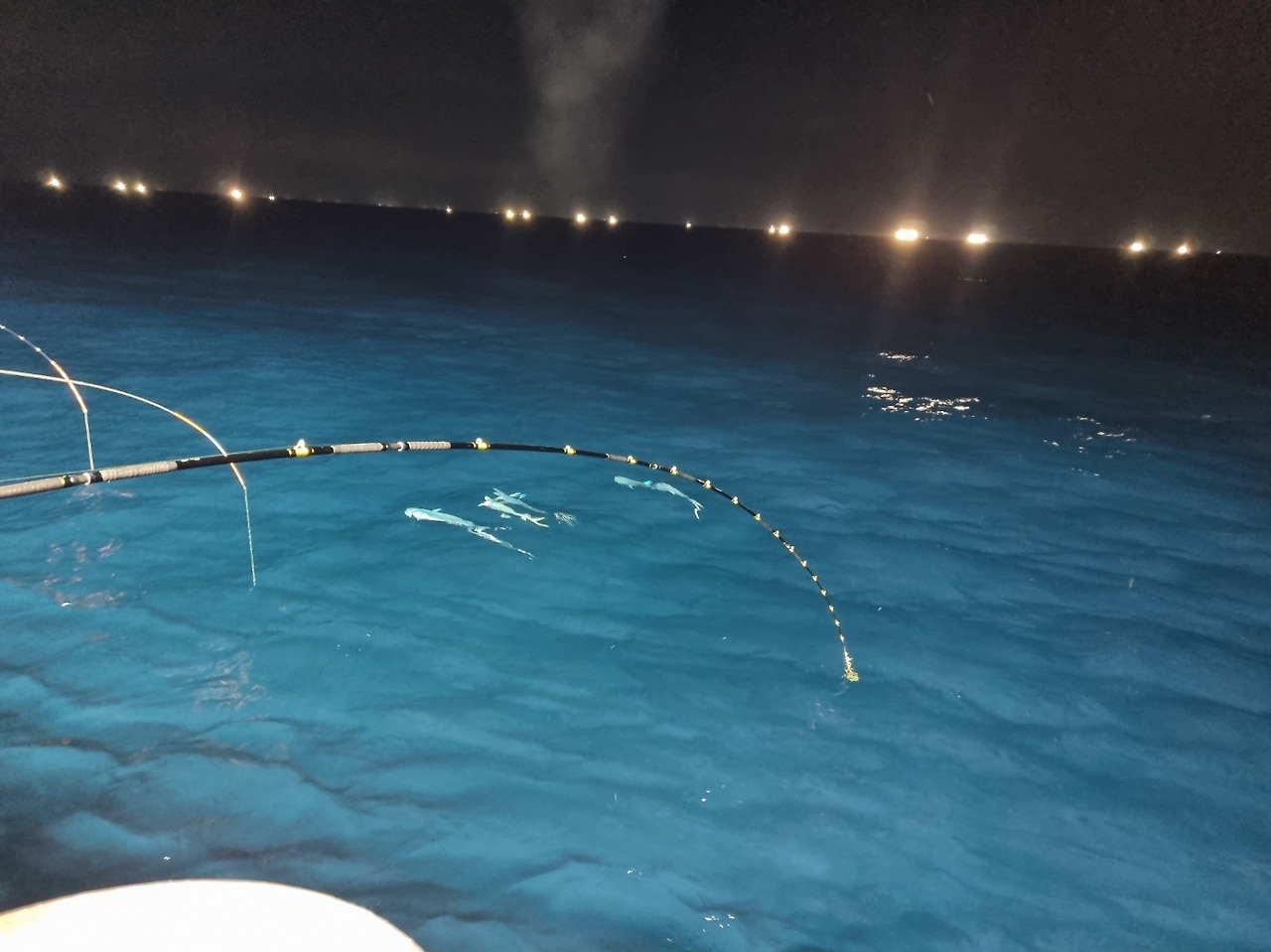 여수 배낚시 손님고기.jpg