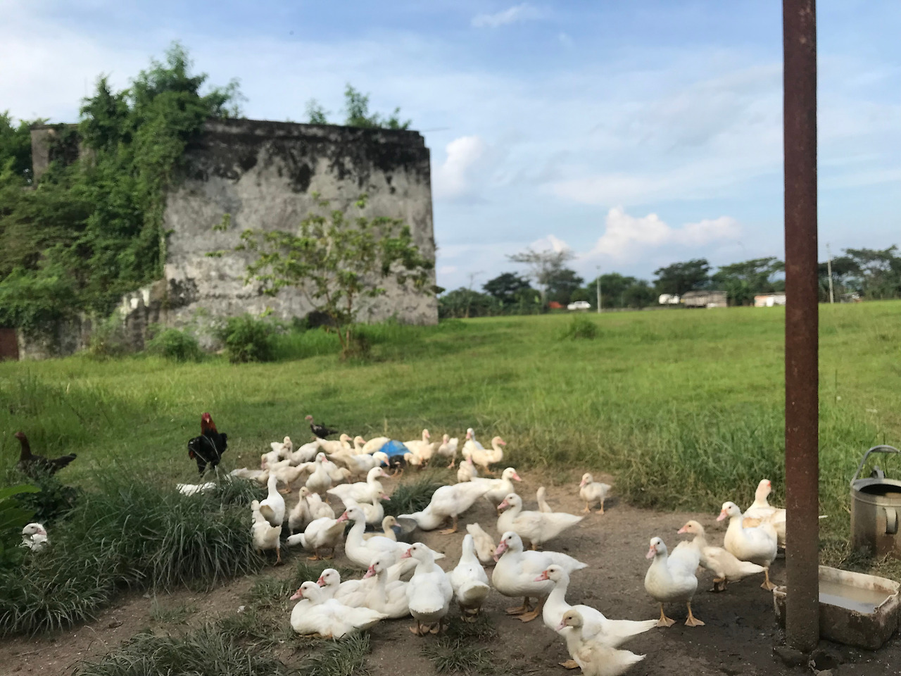 2022-05-24 15.21.41.jpg