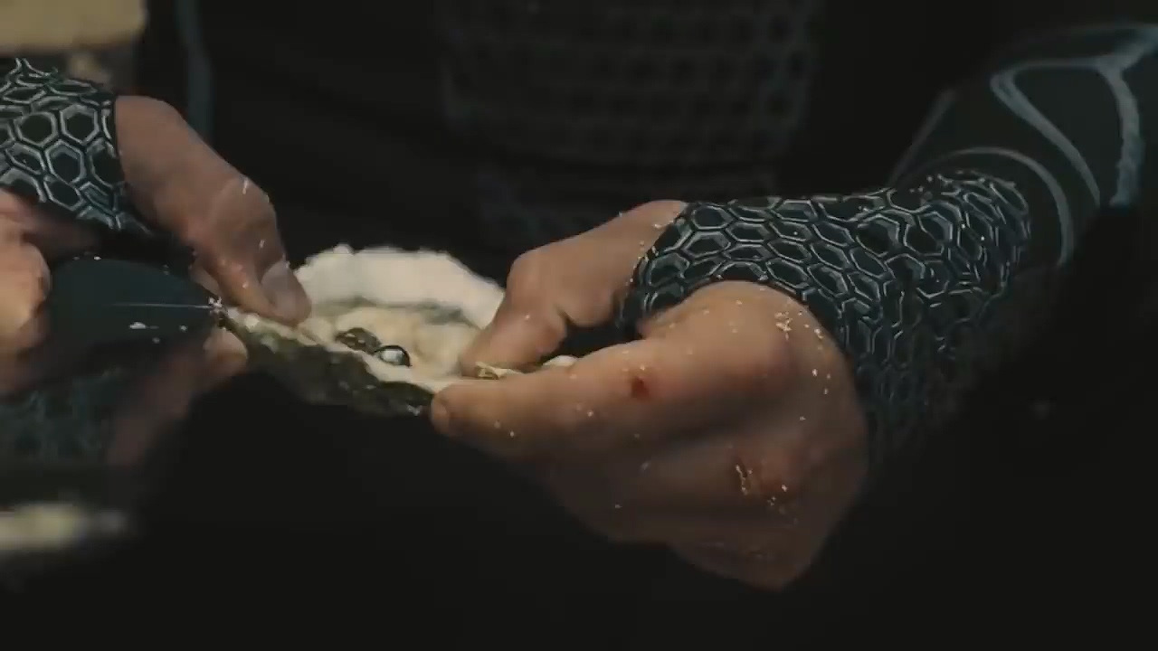 The Hunger Games_ Catching Fire- Wave_ Blood Rain Scene [HD].mp4_20240604_090952.533.jpg