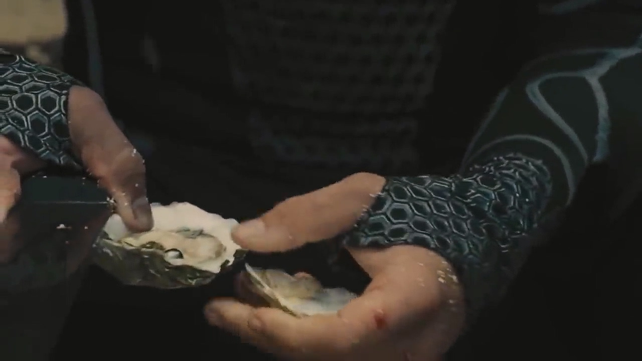 The Hunger Games_ Catching Fire- Wave_ Blood Rain Scene [HD].mp4_20240604_090859.984.jpg