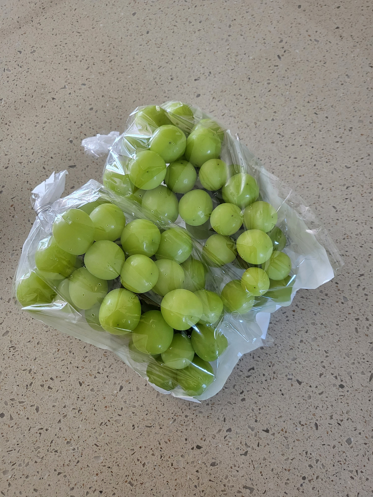 샤인머스캣은 내 것 같지가 않아.jpg