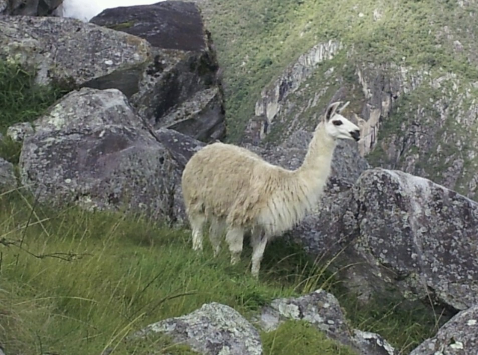 화면 캡처 2025-06-24 094251.jpg