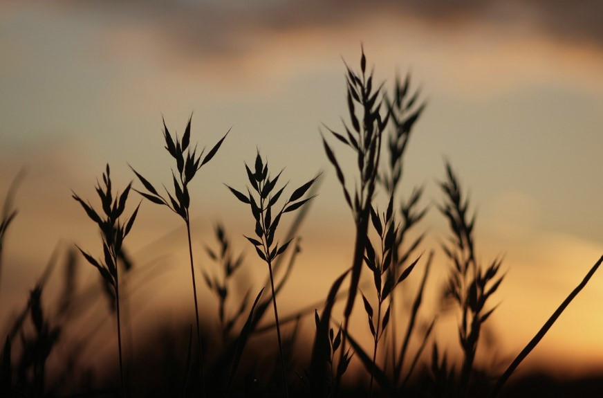 화면 캡처 2025-02-09 124109.jpg