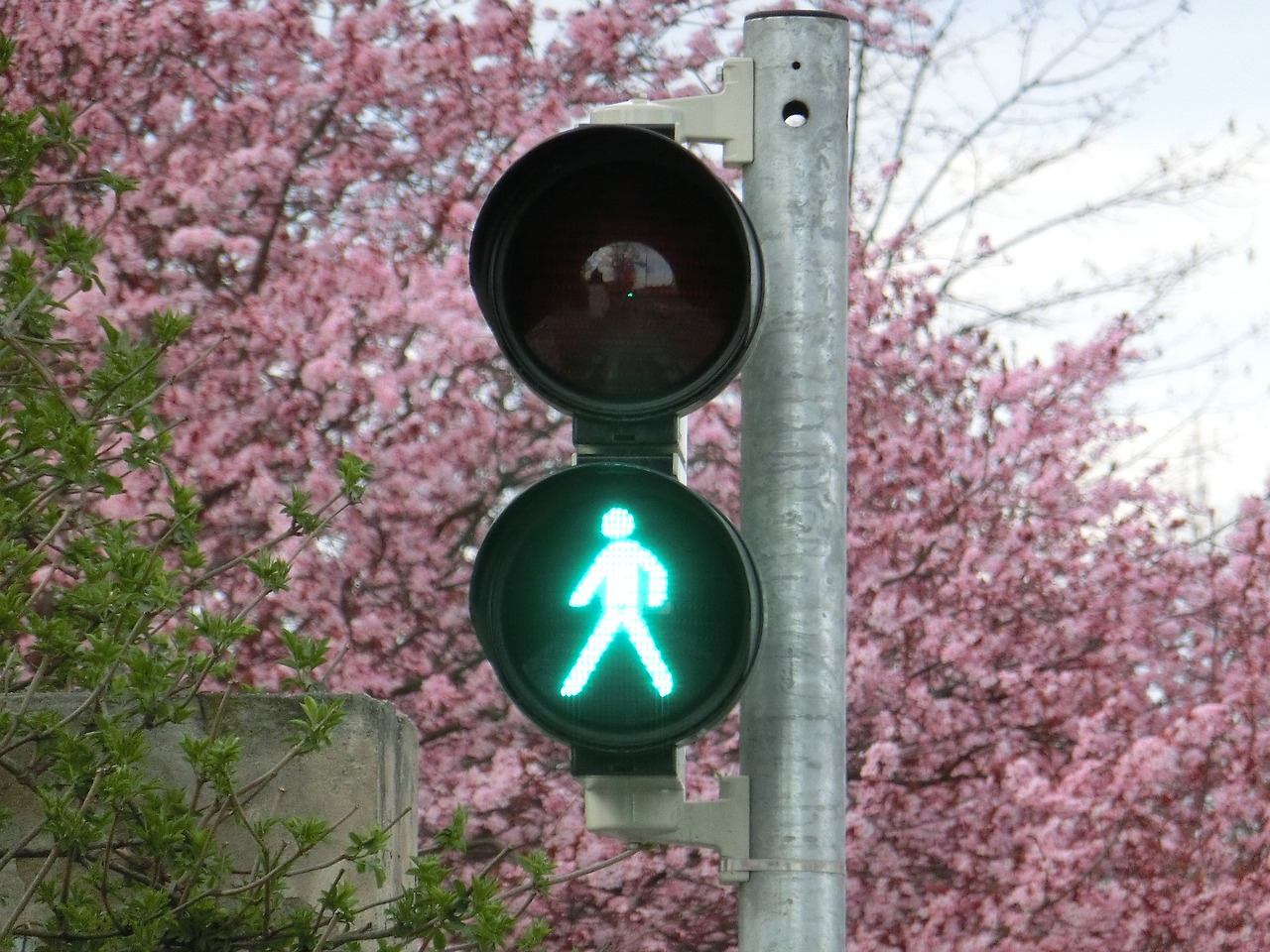 pedestrian-lights-377525_1920.jpg