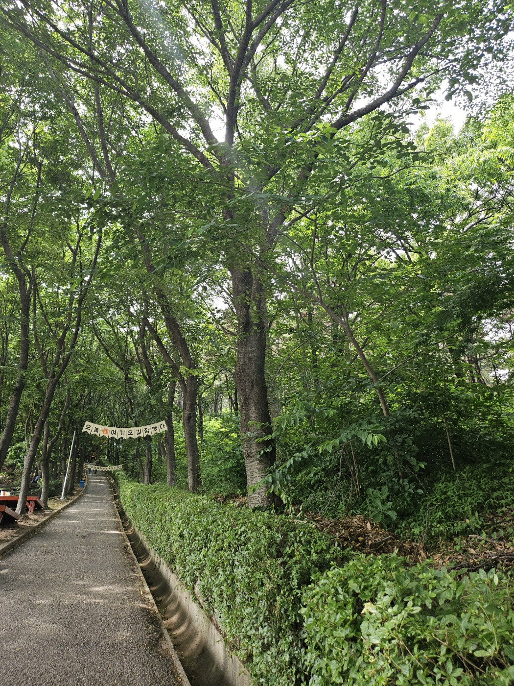 KakaoTalk_20240529_213604310_11 (2).jpg