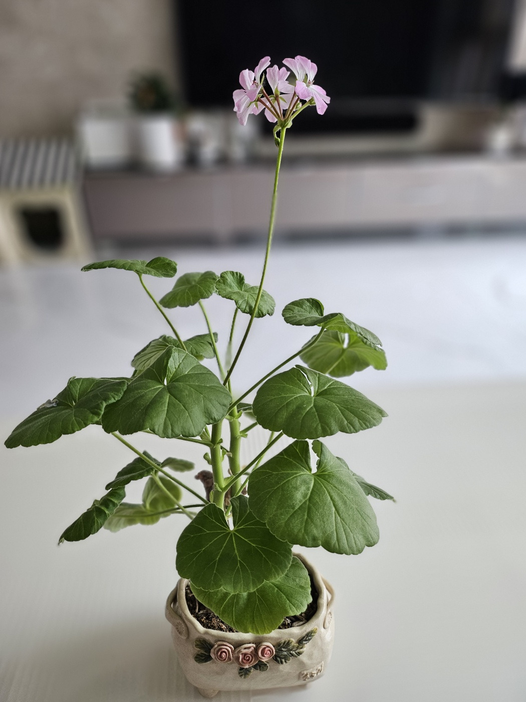 KakaoTalk_20240610_103746088_08 (1).jpg