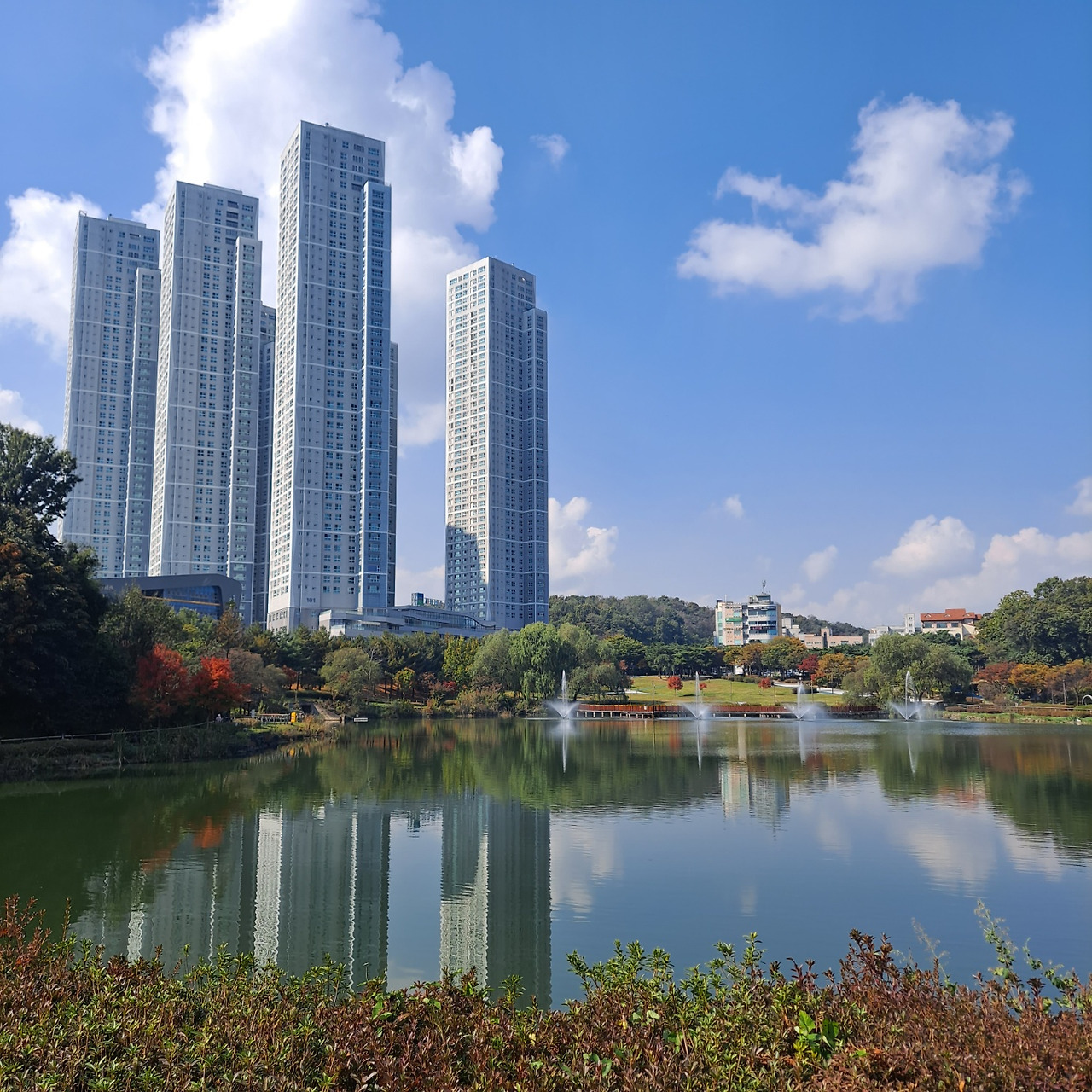 청주 청주 
