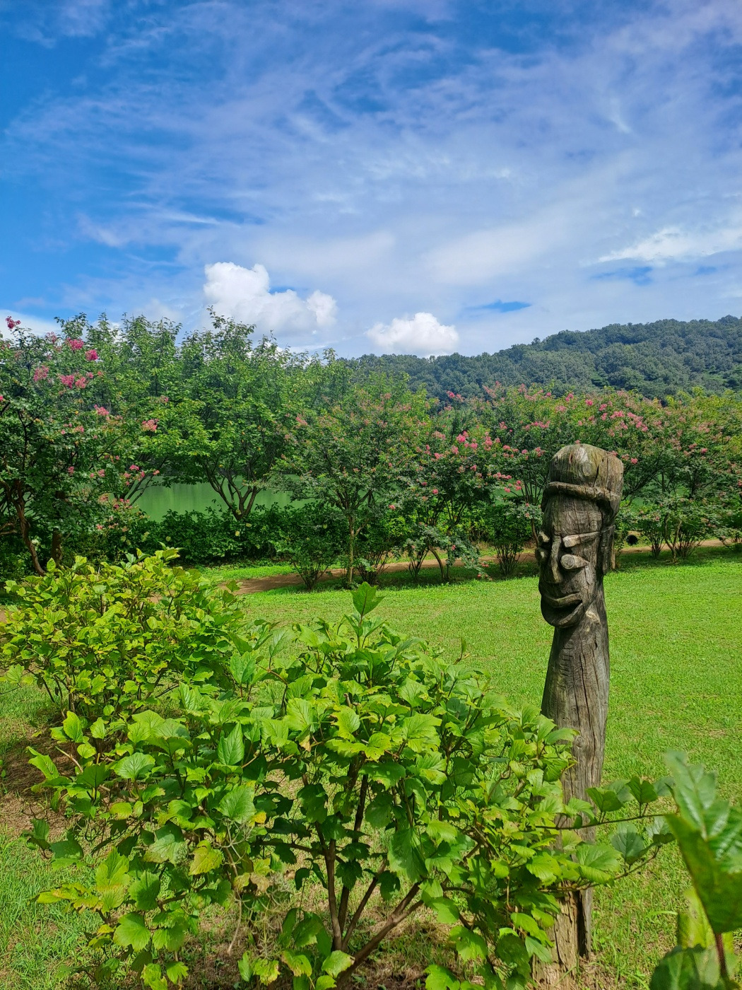 KakaoTalk_20230904_103435312_02 (1).jpg