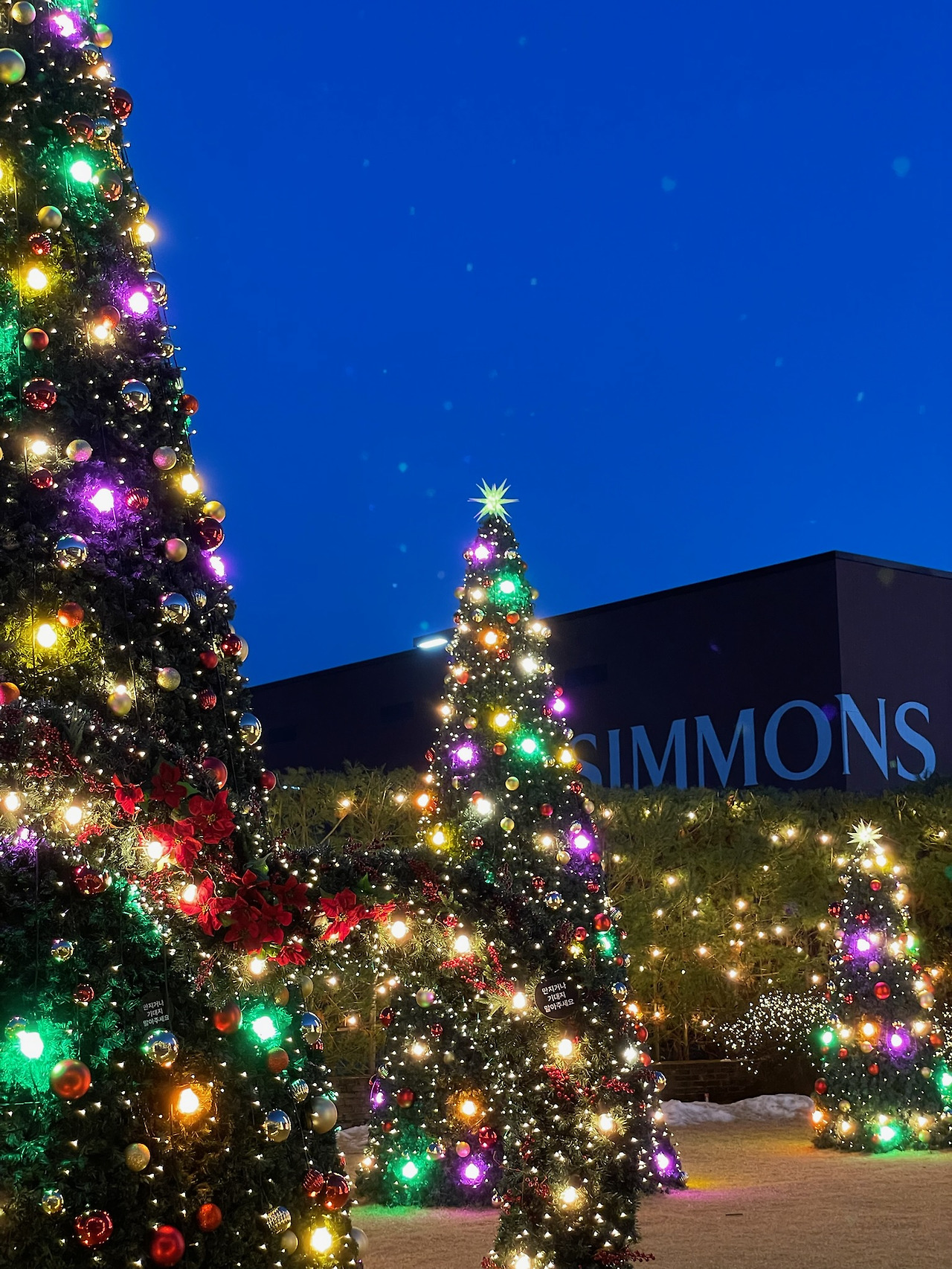 시몬스 테라스점1.jpg