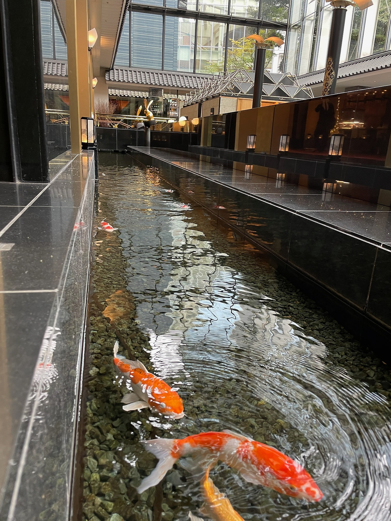 호텔 가조엔 도쿄5.jpg