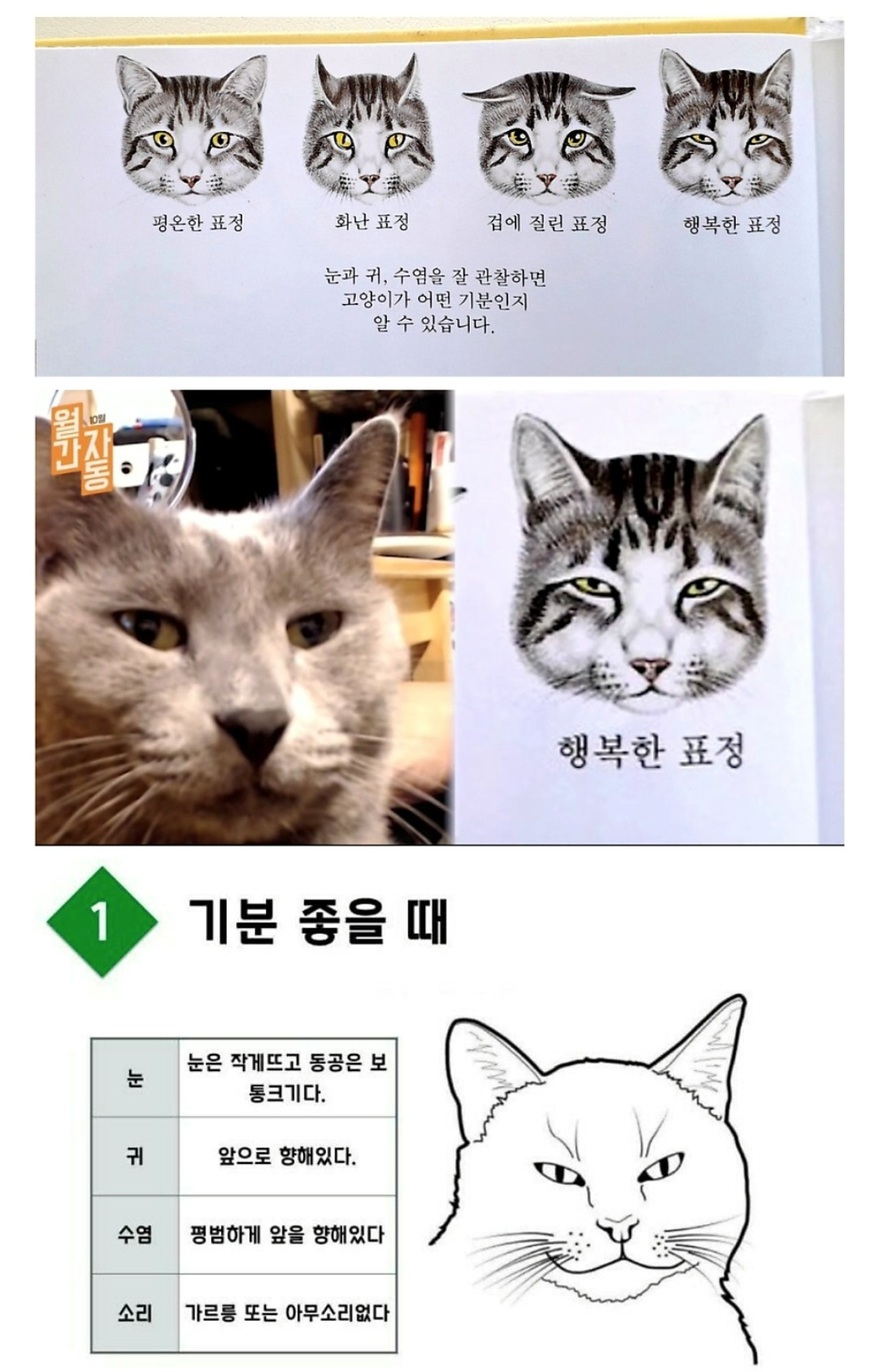 Screenshot_20240928_172500_Samsung Internet.jpg