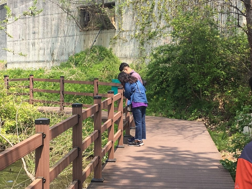 이마고 치료 시작하기1.jpg