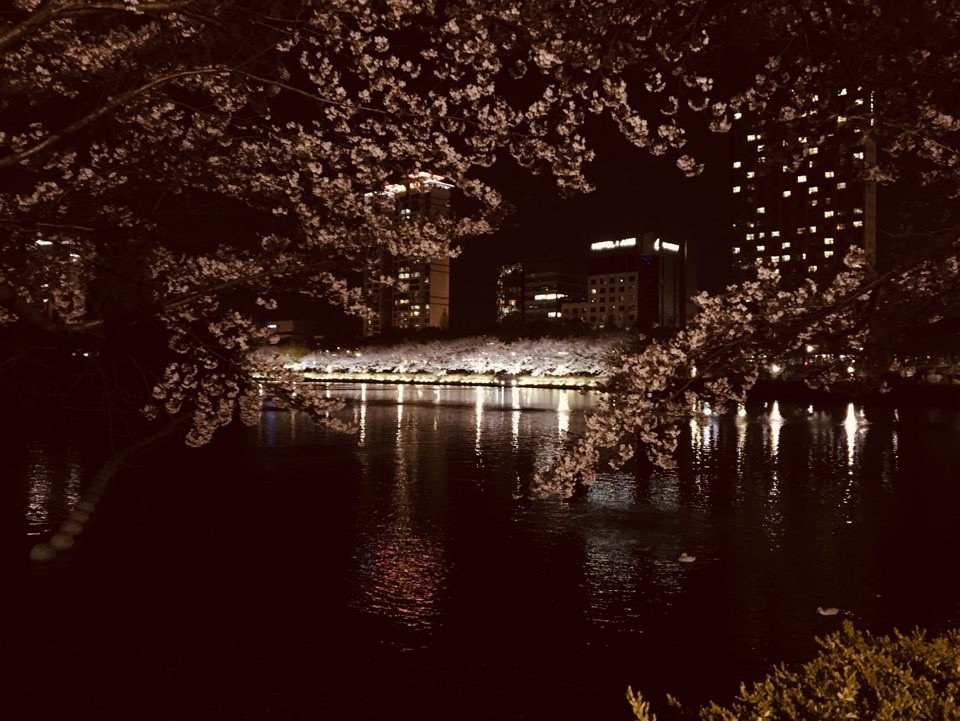 이마고 치료의 비결.jpg