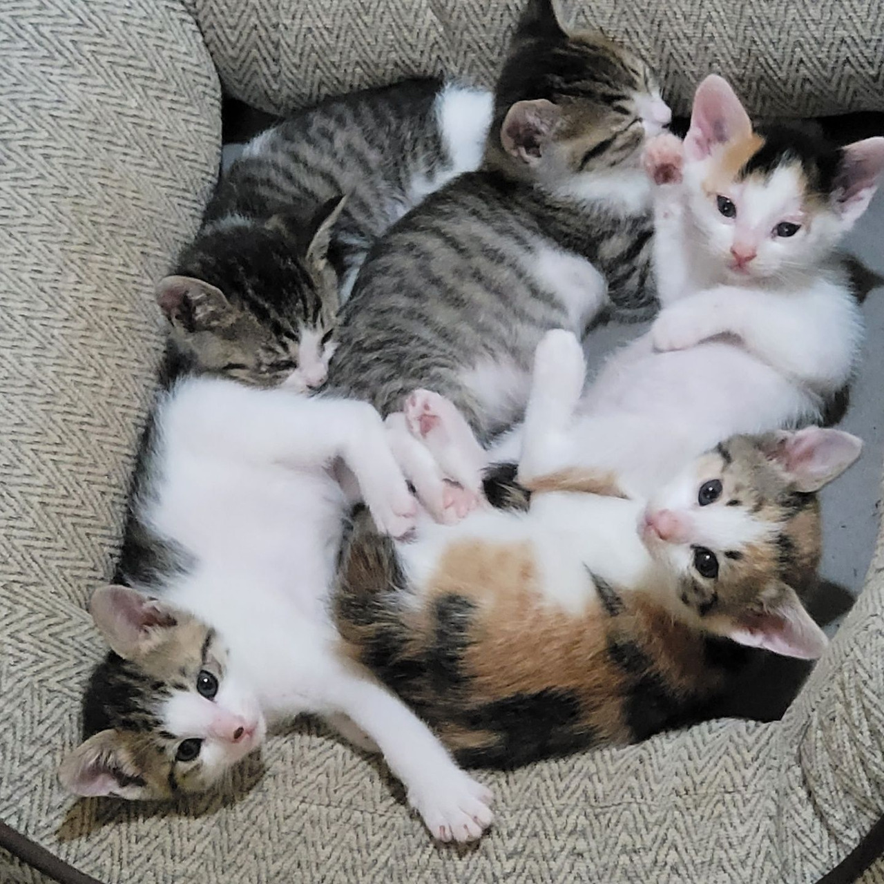 1653140233426 (1).jpg