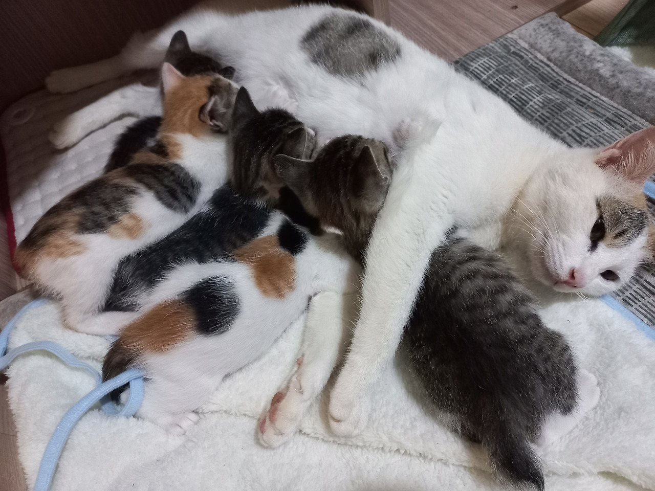 20220518_220526 (1).jpg