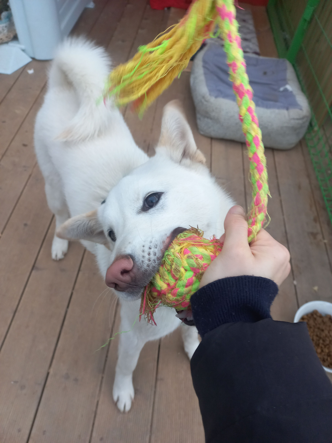 20250119_080406 (1).jpg