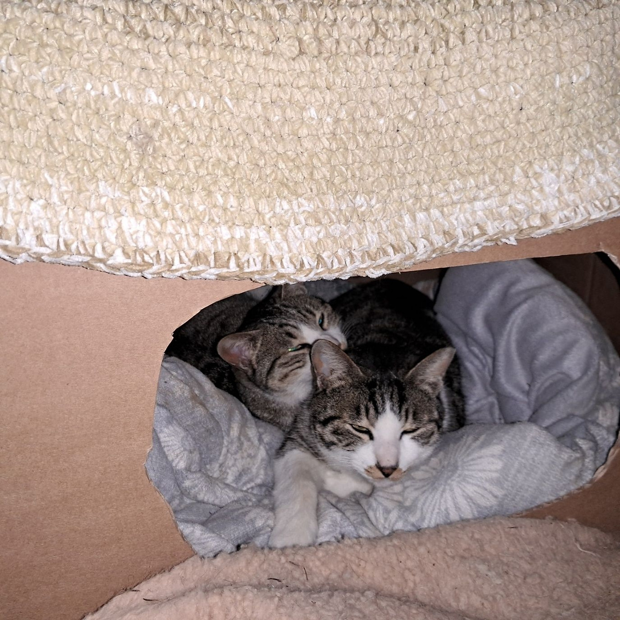 1708859782815 (1).jpg