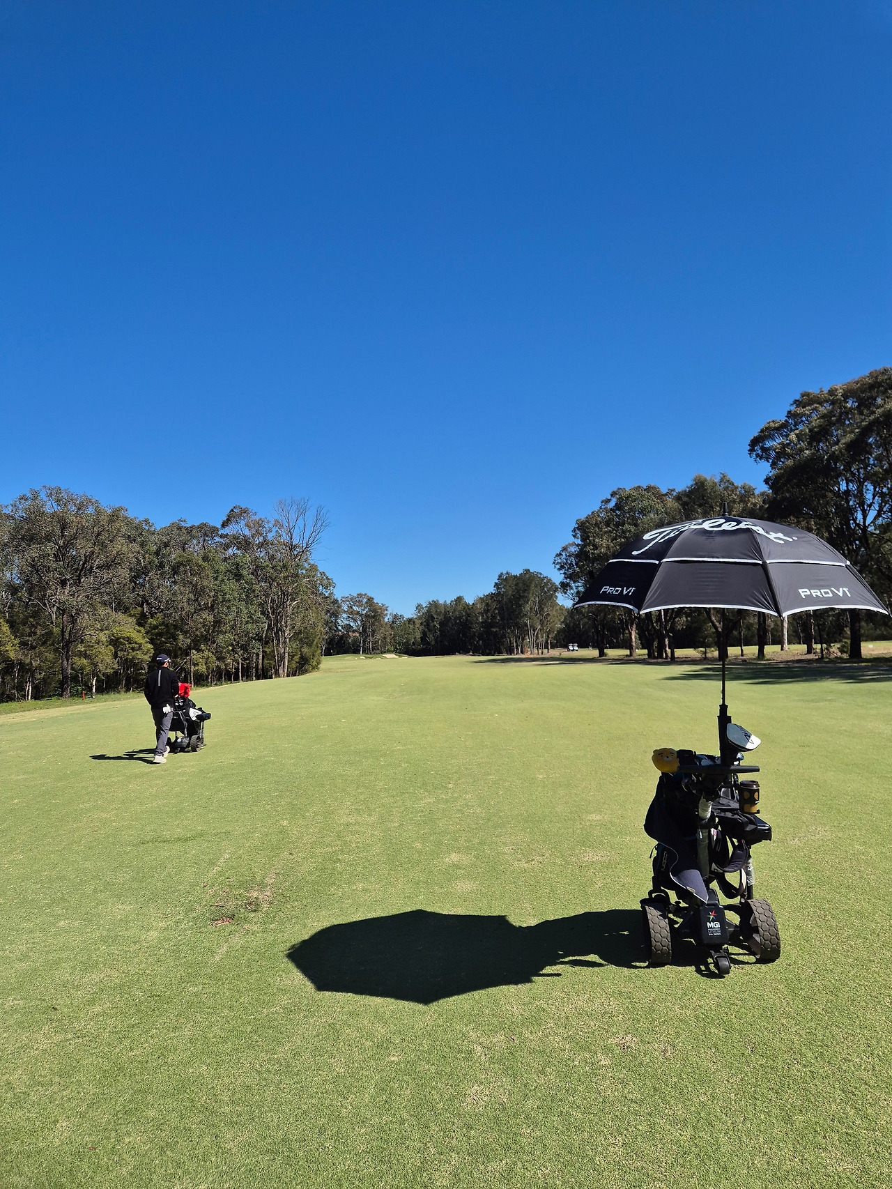 another view of ‍the golf course