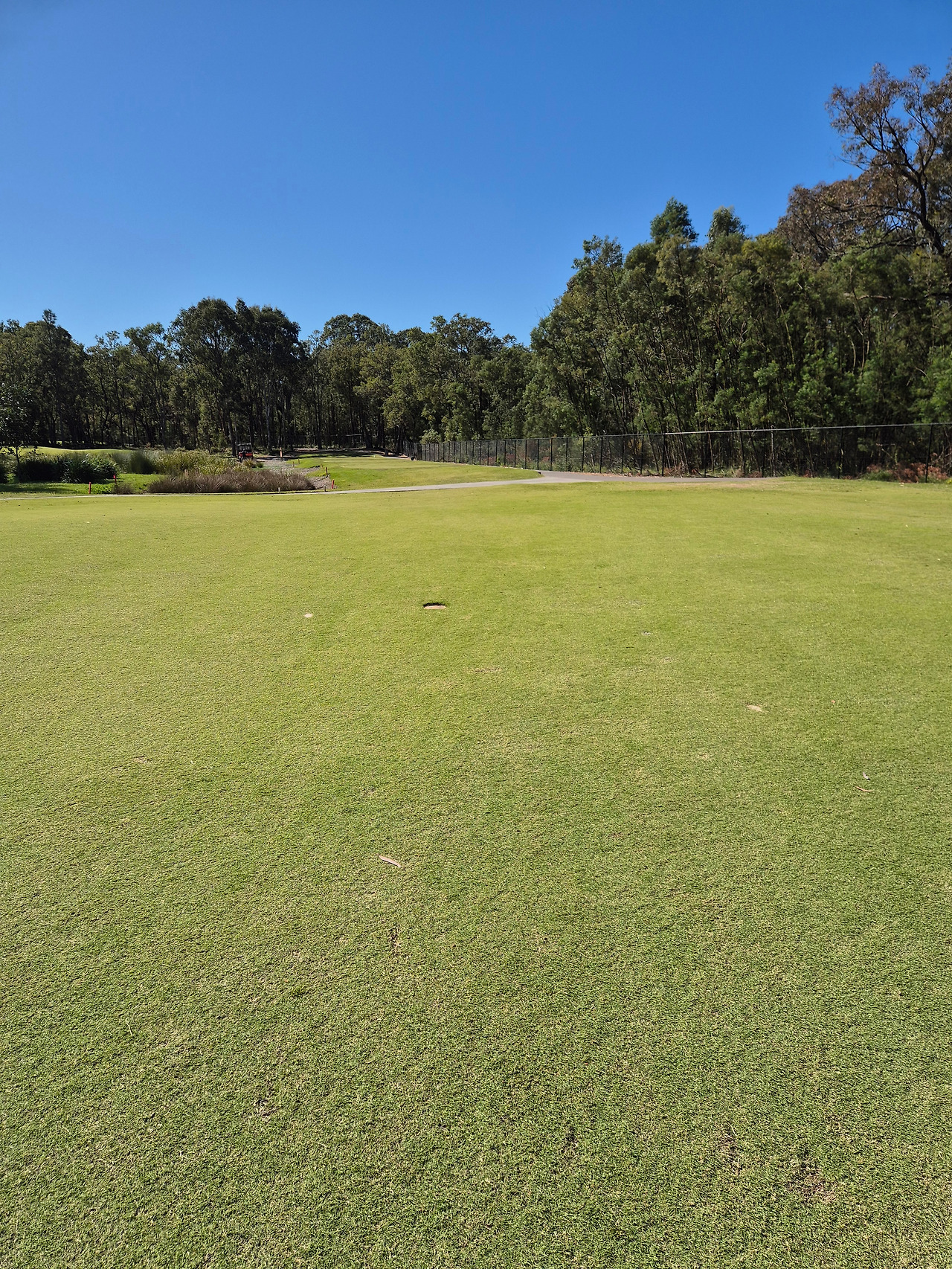 Water Hazard on a Golf Course