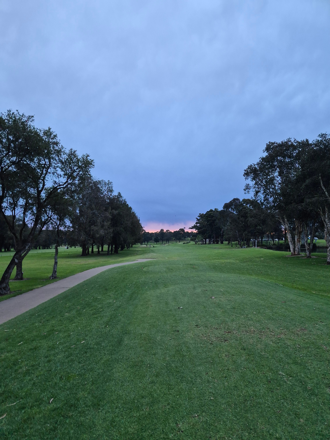 Carnarvon gc,NSW