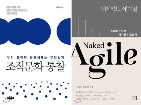 조직문화 통찰, 네이키드애자일.jpg