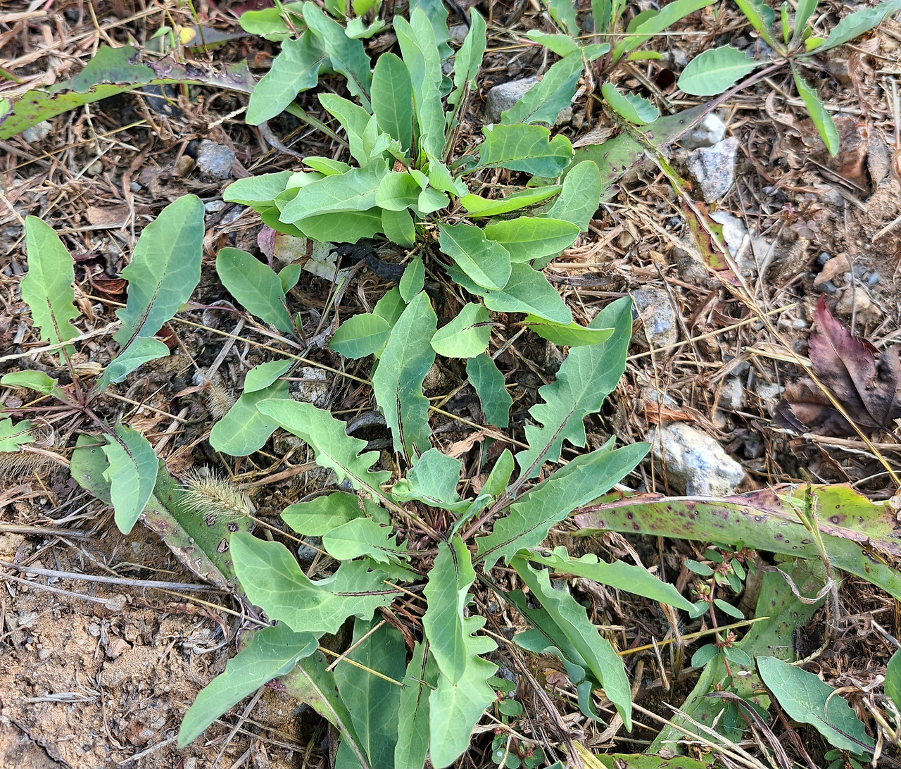 20231105_124838 (1).jpg