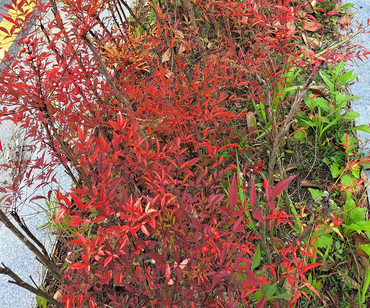 20231105_133921 (1).jpg