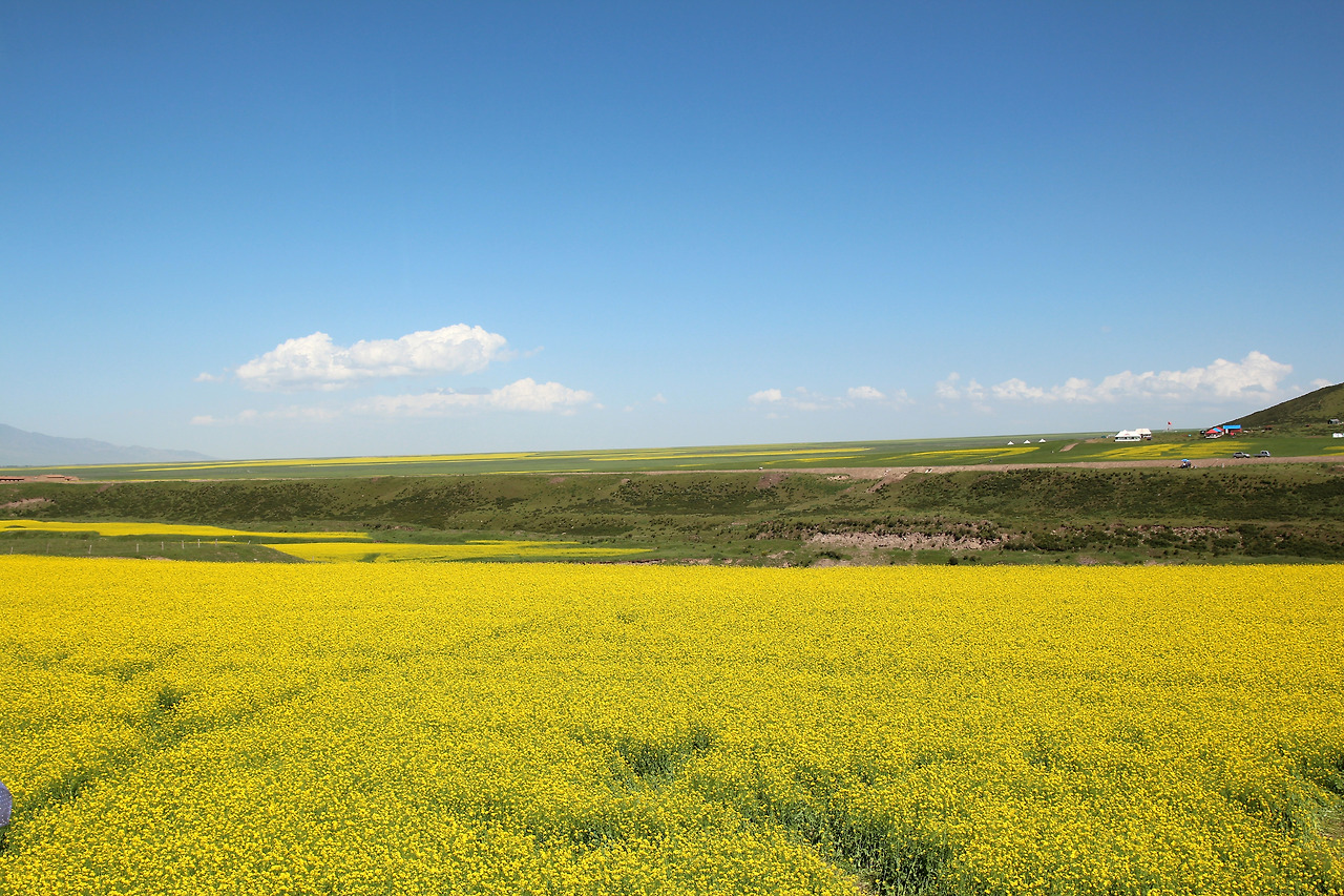 실크로드 중 1078.jpg