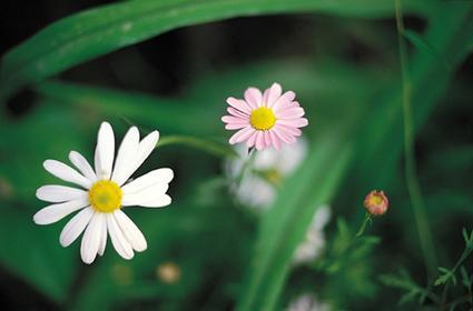 사본 - 16600180793e630c6277a2f.jpg