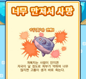개복치.jpg