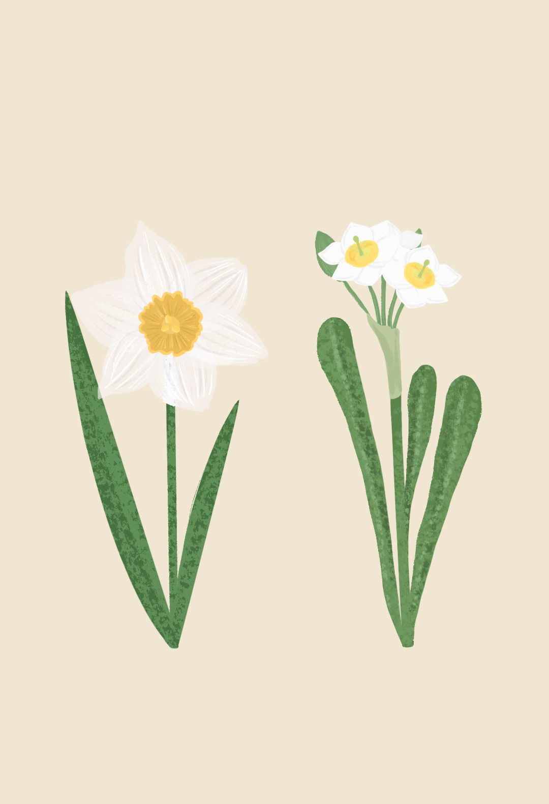 2-5 꽃시장에서 판매되는 수선화들.jpg