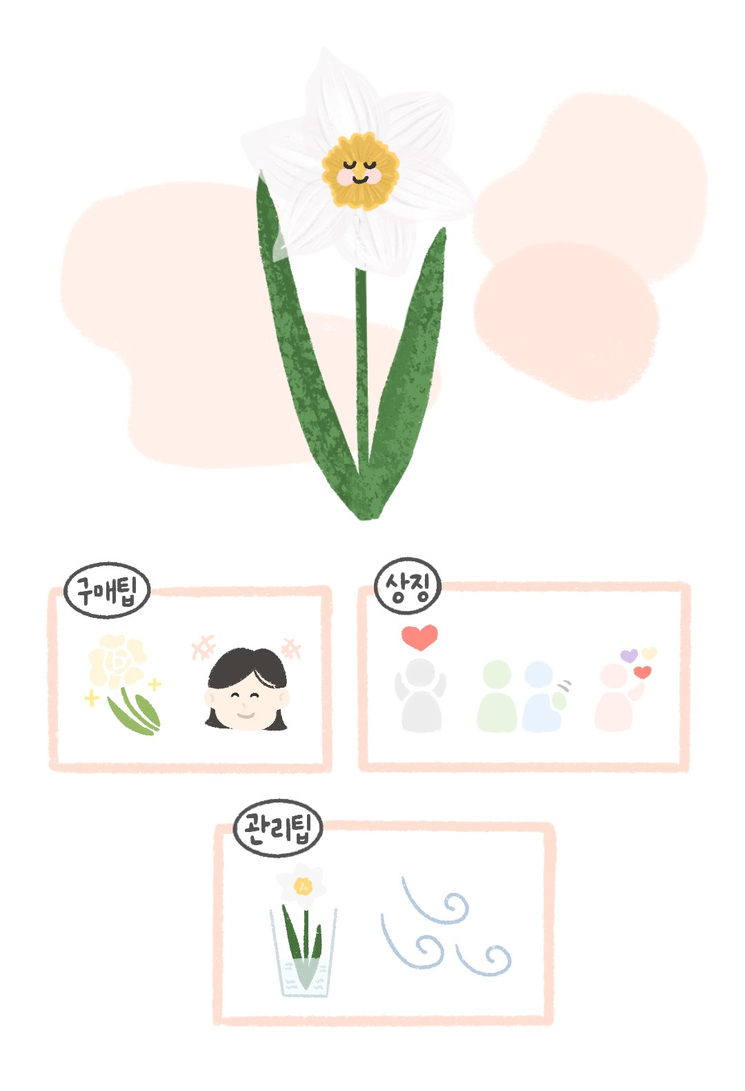 2-8 수선화 팁.jpg