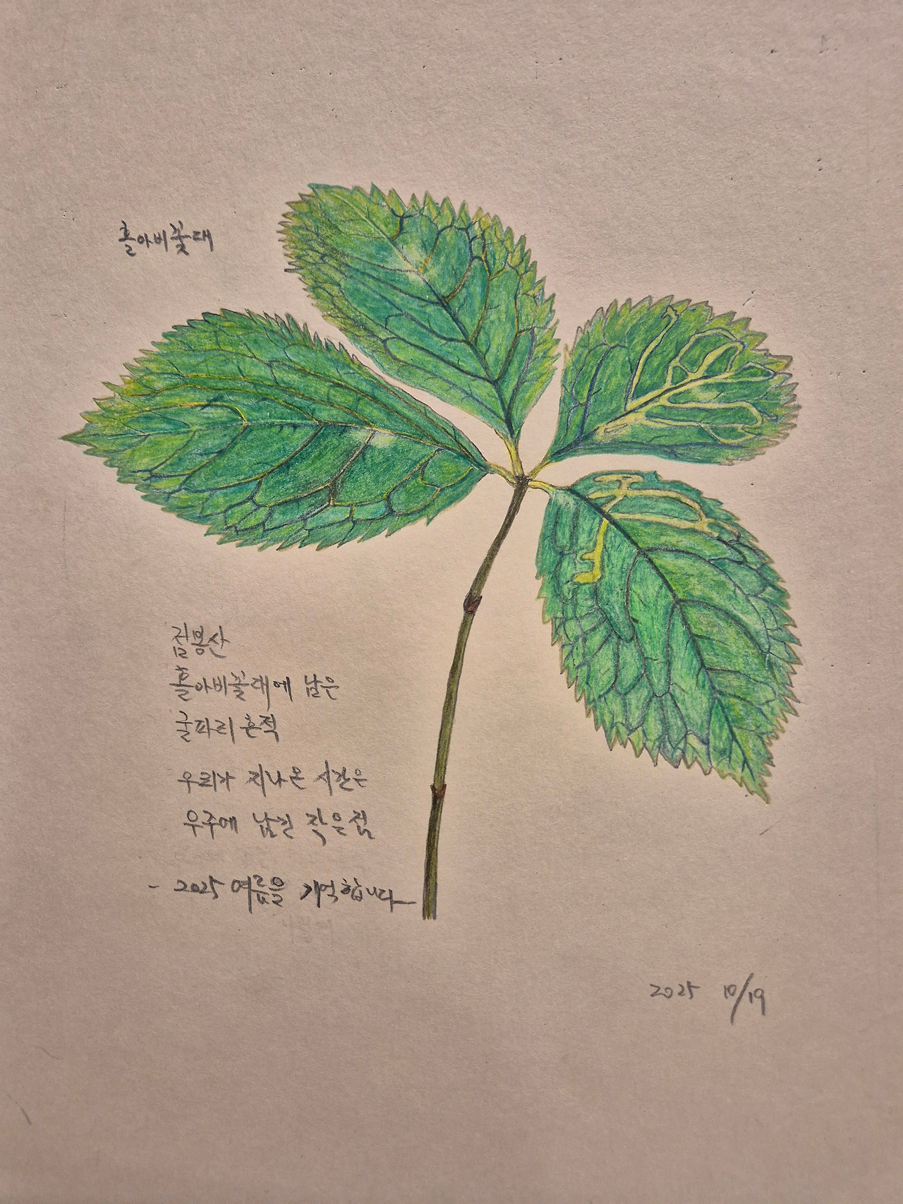 홀아비꽃대 그림.jpg